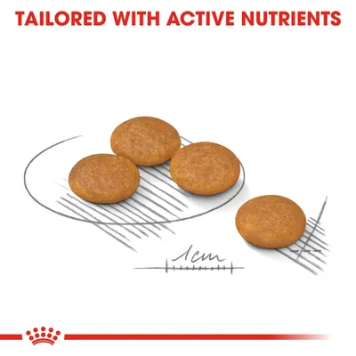 Four round kibble pieces shown with a 1cm scale and the text 'Tailored with active nutrients' above.