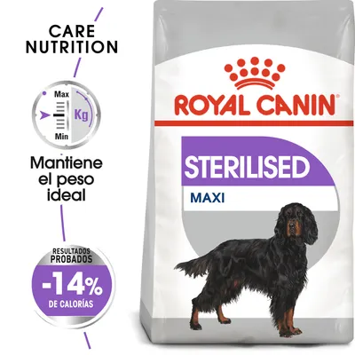 ROYAL CANIN STERILISED MAXI, mantiene el peso ideal, resultados probados: -14 % de calorías. Imagen de perro grande en el envase. CARE NUTRITION visible.