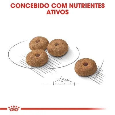 Quatro croquetes redondos de ração, diâmetro indicado como 1 cm. Texto visível: 'Concebido com nutrientes ativos'.