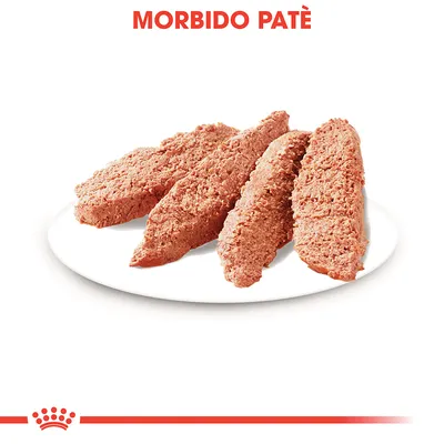 Fette di morbido patè rosa su piatto bianco, testo in alto: MORBIDO PATÈ.