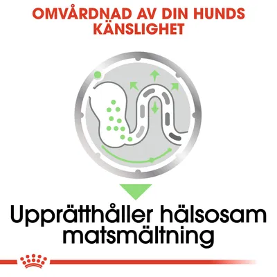 Text: Omvårdnad av din hunds känslighet. Upprätthåller hälsosam matsmältning. Illustration av matsmältningssystem med gröna pilar och prickar.