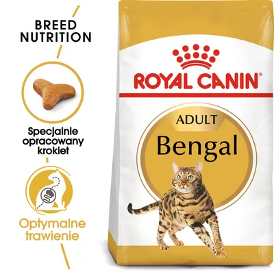 Royal Canin Adult Bengal, specjalnie opracowany krokiet, optymalne trawienie. Widoczny wizerunek kota bengalskiego na opakowaniu.