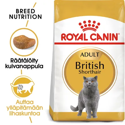 Royal Canin Adult British Shorthair -kuivaruokapakkaus, tekstit: räätälöity kuivanappula, auttaa ylläpitämään lihaskuntoa, BREED NUTRITION, harmaa kissa kuvassa