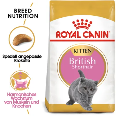 ROYAL CANIN Kitten British Shorthair, croquette visible, texte allemand : Speziell angepasste Krokette, Harmonisches Wachstum von Muskeln und Knochen. Chaton gris sur l’emballage. ROYAL CANIN Kitten British Shorthair, croquette visible, texte allemand : Speziell angepasste Krokette, Harmonisches Wachstum von Muskeln und Knochen. Chaton gris sur l’emballage.