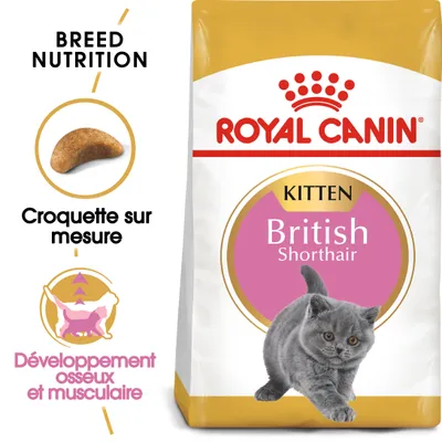 Sachet Royal Canin Kitten British Shorthair, croquette sur mesure, texte : Développement osseux et musculaire, Breed Nutrition. Chaton gris illustré sur l’emballage.