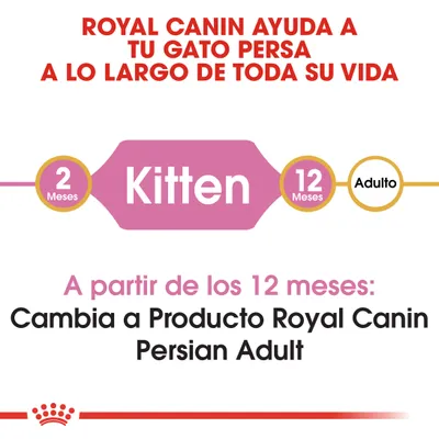 ROYAL CANIN AYUDA A TU GATO PERSA A LO LARGO DE TODA SU VIDA. 2 Meses Kitten 12 Meses Adulto. A partir de los 12 meses: Cambia a Producto Royal Canin Persian Adult.