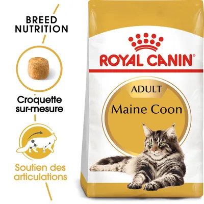 Sachet Royal Canin ADULT Maine Coon, croquette sur-mesure, soutien des articulations, image d’un chat Maine Coon. Texte visible : BREED NUTRITION, Croquette sur-mesure, Soutien des articulations.