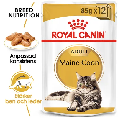 Royal Canin Adult Maine Coon 85g x12. Anpassad konsistens. Stärker ben och leder. Bild på våtfoderbitar och en Maine Coon-katt.