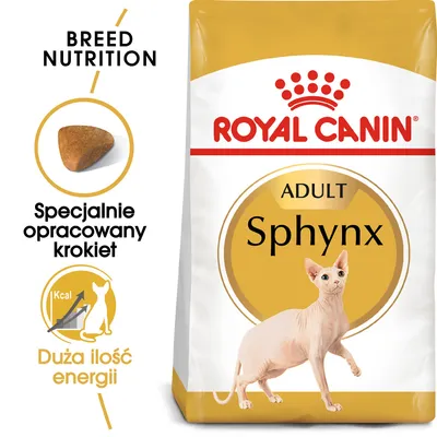 Royal Canin Adult Sphynx, specjalnie opracowany krokiet, duża ilość energii. Opakowanie karmy z wizerunkiem kota rasy Sphynx i widocznymi informacjami o produkcie.