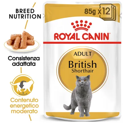 Royal Canin Adult British Shorthair, 85 g x12. Consistenza adattata, contenuto energetico moderato. Immagine di crocchette e gatto British Shorthair grigio.