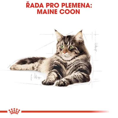 Řada pro plemena: Maine Coon. Ilustrace ležící kočky Maine Coon, červený nápis nahoře, dole červená korunka a pruh.