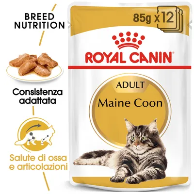 Royal Canin Adult Maine Coon 85 g x12, consistenza adattata, salute di ossa e articolazioni, immagine di gatto Maine Coon su confezione. Testo in inglese: Breed Nutrition.