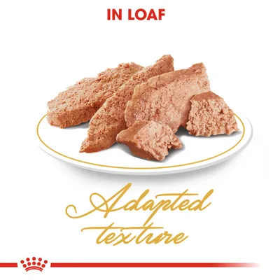 Royal Canin Persian Adult in Loaf - 12 x 85g