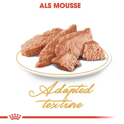 ALS Mousse, mousse pour animaux présentée sur une assiette. Texte visible : Adapted texture.