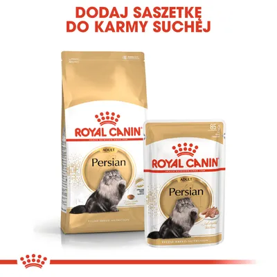 ROYAL CANIN Persian Adult karma sucha i mokra, opakowania z wizerunkiem kota perskiego. Napis: Dodaj saszetkę do karmy suchej.