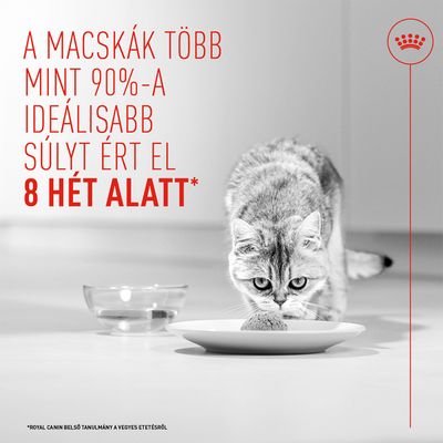 Royal Canin Light Weight Care AirLift Mousse