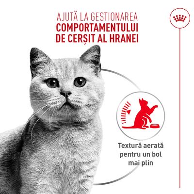 Royal Canin Appetite Control Care AirLift Mousse