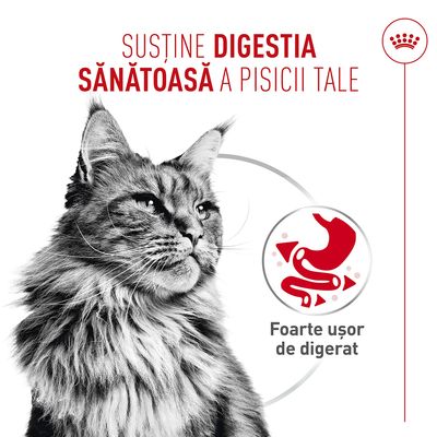 Royal Canin Digestive Care AirLift Mousse - 12 x 85 g