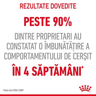 Rezultate dovedite: peste 90% dintre proprietari au constatat o îmbunătățire a comportamentului de cerșit în 4 săptămâni. *Studiu intern ROYAL CANIN.