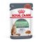 Royal Canin Digestive Care în sos 12 x 85 g