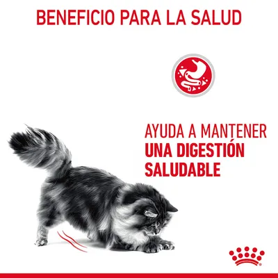Beneficio para la salud. Ayuda a mantener una digestión saludable. Imagen de un gato y símbolo de estómago en rojo. Texto en español visible en la imagen.