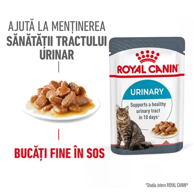 Plic Royal Canin Urinary pentru pisici, bucăți fine în sos. Text: Ajută la menținerea sănătății tractului urinar. Imagine cu mâncare umedă și o pisică.