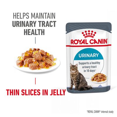 ROYAL CANIN URINARY, cienkie kawałki w galaretce. Pomaga utrzymać zdrowie dróg moczowych. Na opakowaniu kot i miska z karmą. Widoczny tekst po angielsku.