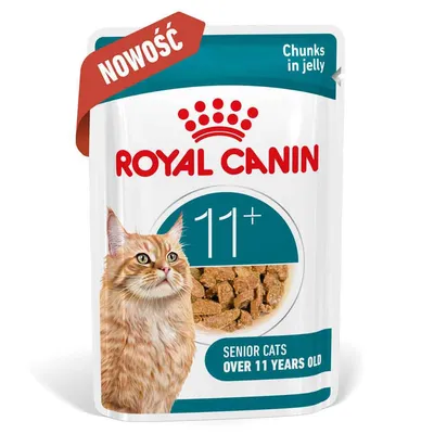Royal Canin Ageing 11+ w galarecie - 12 x 85 g