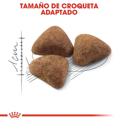 Tres croquetas triangulares con texto 'Tamaño de croqueta adaptado' y escala que indica 1 cm de longitud.