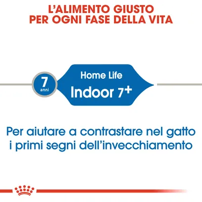 L'alimento giusto per ogni fase della vita. Home Life Indoor 7+. Per aiutare a contrastare nel gatto i primi segni dell'invecchiamento. 7 anni.
