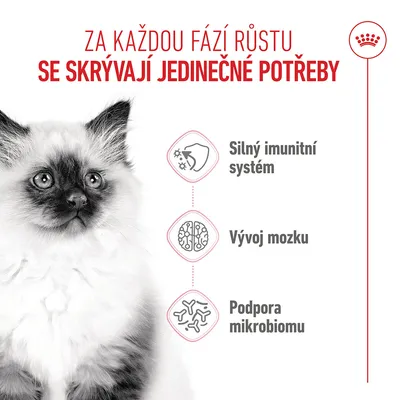 Grafika s texty: Silný imunitní systém, Vývoj mozku, Podpora mikrobiomu. Symboly pro imunitní systém, vývoj mozku a podporu mikrobiomu.