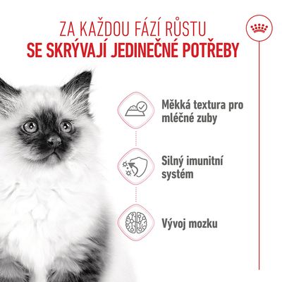 Grafika se třemi body: měkká textura pro mléčné zuby, silný imunitní systém, vývoj mozku. Text v češtině.