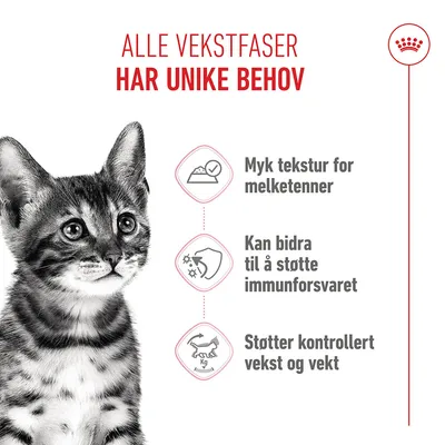 Royal Canin Sterilised Kitten i saus