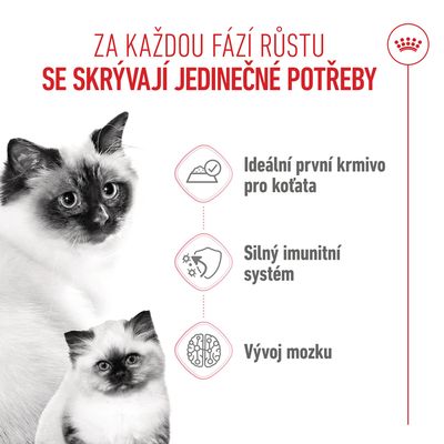 Grafika se třemi body: Ideální první krmivo pro koťata, silný imunitní systém, vývoj mozku. Zobrazeny dvě kočky.