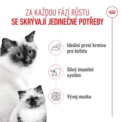 Grafika se třemi body: Ideální první krmivo pro koťata, silný imunitní systém, vývoj mozku. Zobrazeny dvě kočky. Grafika se třemi body: Ideální první krmivo pro koťata, silný imunitní systém, vývoj mozku. Zobrazeny dvě kočky.