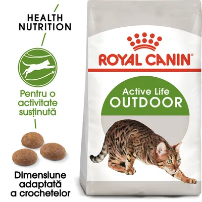 Pachet Royal Canin Active Life Outdoor, imagine cu pisică, text: Health Nutrition, Pentru o activitate susținută, Dimensiune adaptată a crochetelor. Trei crochete vizibile.