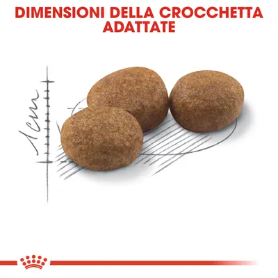 Tre crocchette con testo in alto: 'Dimensioni della crocchetta adattate' e una scala che indica circa 1 cm di diametro.
