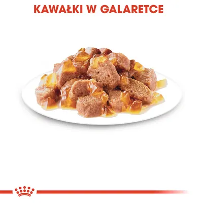 Kawałki w galaretce – widoczne kawałki mokrej karmy na białym talerzu, tekst: KAWAŁKI W GALARETCE u góry obrazu.