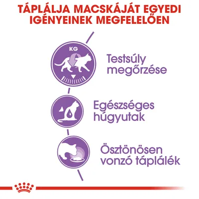 Táplálja macskáját egyedi igényeinek megfelelően: testsúly megőrzése, egészséges húgyutak, ösztönösen vonzó táplálék. Lila ikonokkal illusztrálva.