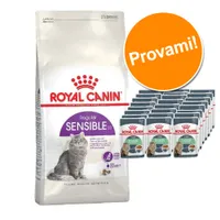 Set prova misto! Royal Canin Feline secco + umido - 4 kg Exigent + 24 x 85 g Instinctive in Salsa