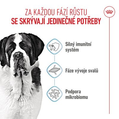 Grafika se psem a třemi symboly: Silný imunitní systém, fáze vývoje svalů, podpora mikrobiomu. Text v češtině.