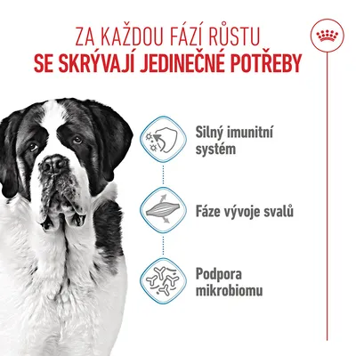 Grafika se psem a třemi symboly: Silný imunitní systém, fáze vývoje svalů, podpora mikrobiomu. Text v češtině. Grafika se psem a třemi symboly: Silný imunitní systém, fáze vývoje svalů, podpora mikrobiomu. Text v češtině.