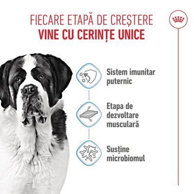 Grafică cu un câine și trei puncte: întărirea sistemului imunitar, dezvoltarea musculaturii, susținerea microbiomului. Text în limba română.