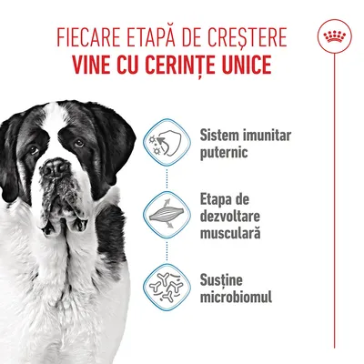 Grafică cu un câine și trei puncte: întărirea sistemului imunitar, dezvoltarea musculaturii, susținerea microbiomului. Text în limba română.