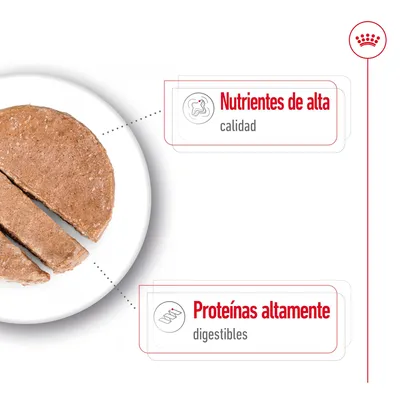 Comida húmeda para mascotas en plato, con texto: Nutrientes de alta calidad y Proteínas altamente digestibles.