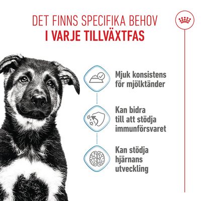 Royal Canin Maxi Puppy i sås - 10 x 140 g