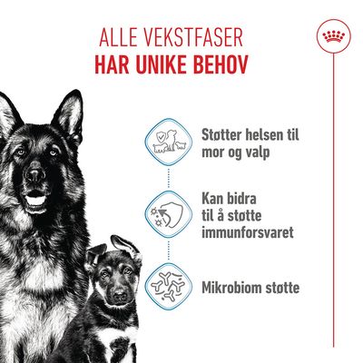 Royal Canin Maxi Starter Mother & Babydog
