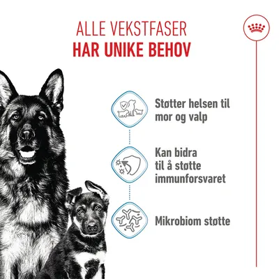 Royal Canin Maxi Starter Mother & Babydog
