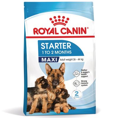 Royal Canin Maxi Starter Mother & Babydog