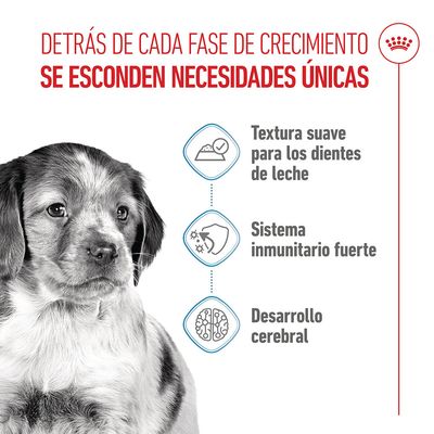 Royal Canin Medium Puppy en salsa - Pack % - 40 x 140 g
